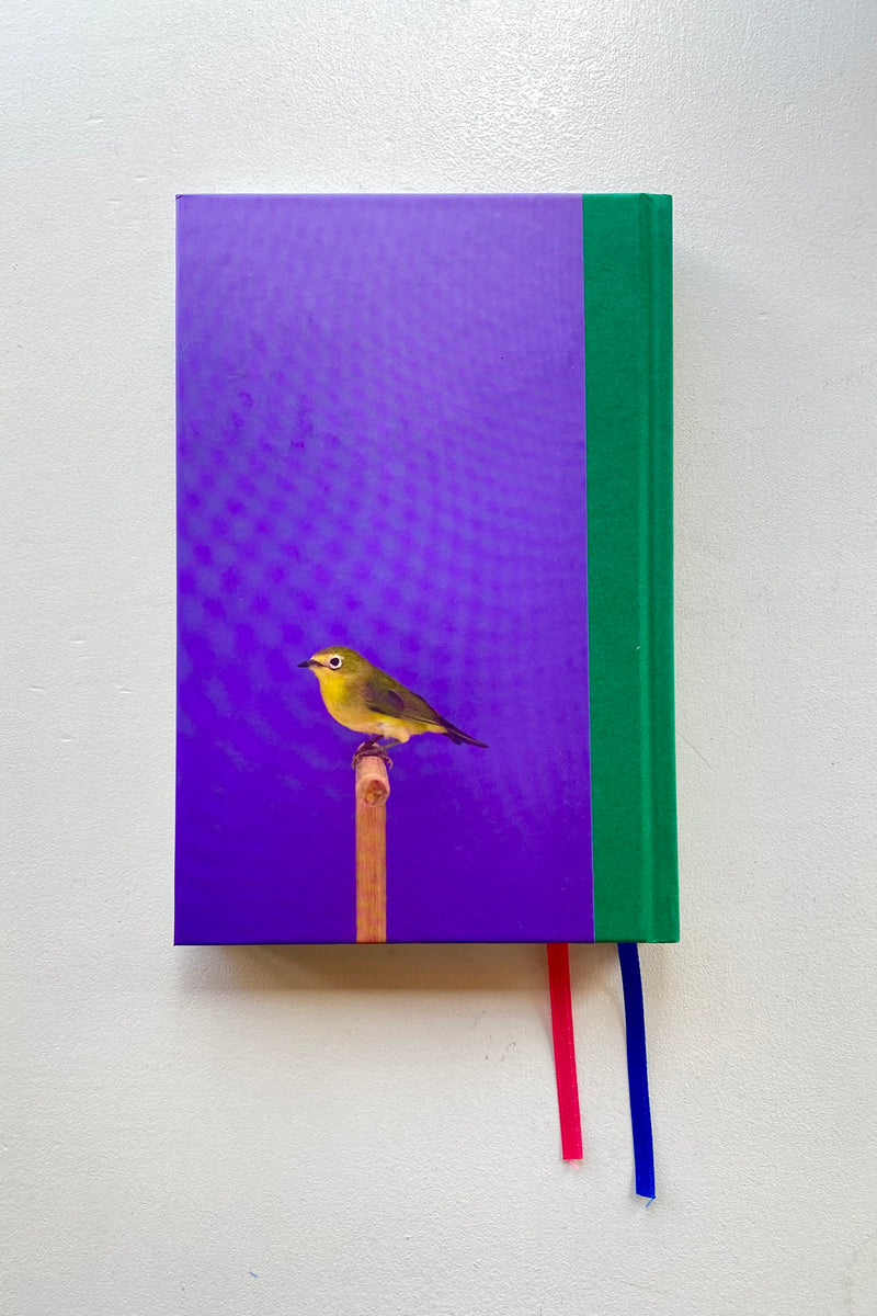 美品】Luke Stephenson 作品集【希少本】 美品】Luke Stephenson 作品集【希少本】