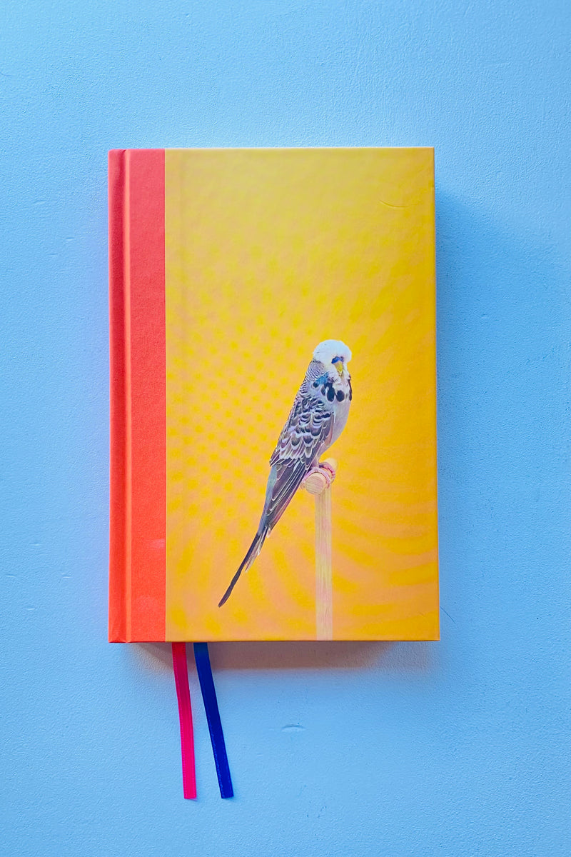 AN INCOMPLETE DICTIONARY OF SHOW BIRDS VOL.2 / Luke Stephenson