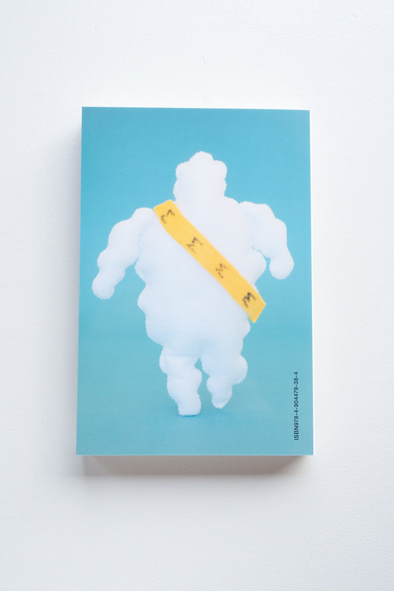 Have You Seen Them / Yuri Hasegawa - Utrecht