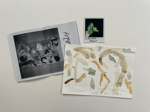 松﨑友哉「野草を摘んで」