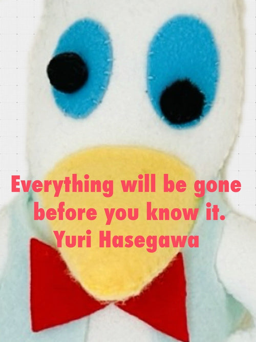 Everything will be gone before you know it / Yuri Hasegawa