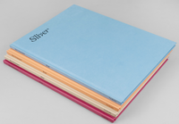 Sliver / Boris Snauwaert