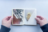 Bird Watching / 田代祐美子