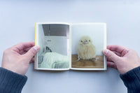 Bird Watching / 田代祐美子