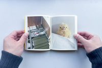 Bird Watching / 田代祐美子