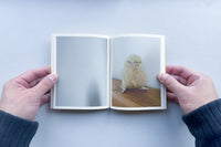 Bird Watching / 田代祐美子