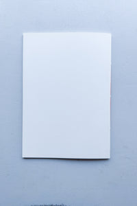 詩集 / オクサナ・パサイコ