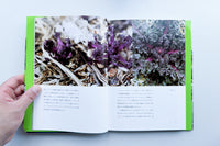 デレク・ジャーマンの庭 / デレク・ジャーマン、ハワード・スーリー 、山内朋樹