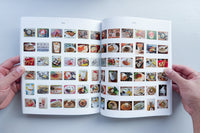 イメージと正体の調査報告 / 村上慧