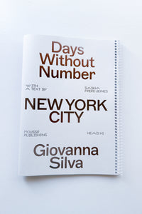 Days Without Number : New York City / Giovanna Silva