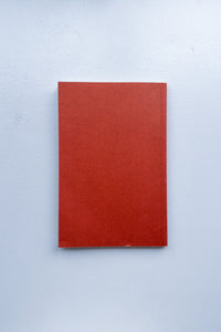 The Monkey / Michael Borremans