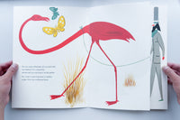 Animals for Sale / Bruno Munari