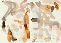 野草を摘む #3 / 松﨑友哉