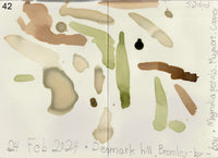 野草を摘む #3 / 松﨑友哉