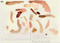 野草を摘む #3 / 松﨑友哉