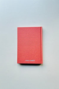 Appunti Su Alcuni Dipinti / Nigel Peake
