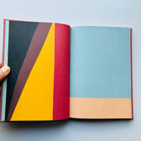 Appunti Su Alcuni Dipinti / Nigel Peake
