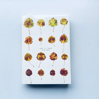 （2nd edition) Book of Plants / Anne Geene