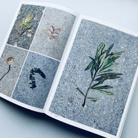 （2nd edition) Book of Plants / Anne Geene