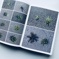 （2nd edition) Book of Plants / Anne Geene