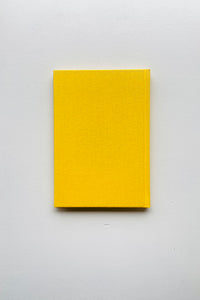 MUT 4  BRIC / Nathalie Du Pasquier