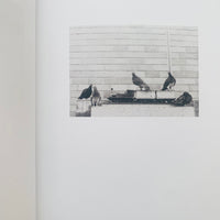 MUT 2 TWO POEMS, SEVEN PAIRS / Jochen Lempert