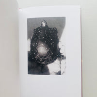 MUT 2 TWO POEMS, SEVEN PAIRS / Jochen Lempert