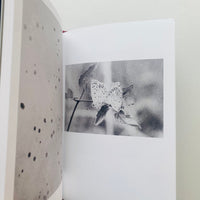 MUT 2 TWO POEMS, SEVEN PAIRS / Jochen Lempert