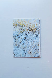 カコヲカコウ / 横尾香央留