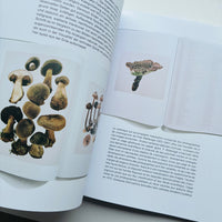 The Most Beautiful Swiss Books 2025