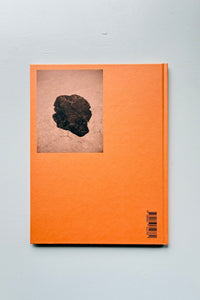 Sliver / Boris Snauwaert