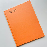 Sliver / Boris Snauwaert