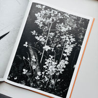 Sliver / Boris Snauwaert