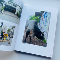 NOTHING COULD HAVE PREPARED US – EVERYTHING COULD HAVE PREPARED US / Wolfgang Tillmans