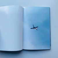 CONCORDE / Wolfgang Tillmans