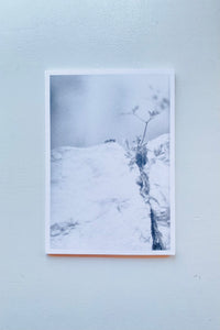 Local Ecology: MOULIN DES RIBES / Jochen Lempert