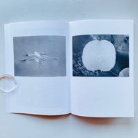 Local Ecology: MOULIN DES RIBES / Jochen Lempert