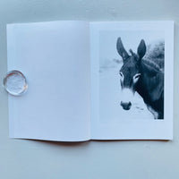 Local Ecology: KASTELLORIZO / Jochen Lempert