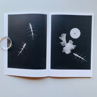 Local Ecology: KASTELLORIZO / Jochen Lempert