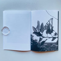 Local Ecology: KASTELLORIZO / Jochen Lempert