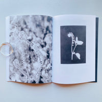 Local Ecology: KASTELLORIZO / Jochen Lempert