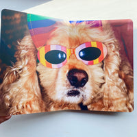 Animals / Martin Parr