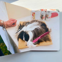 Animals / Martin Parr