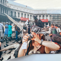 Animals / Martin Parr