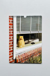 Cats and Dogs in the Window Calendar 2026 / Chantal Rens