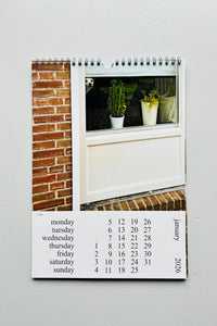 Cats and Dogs in the Window Calendar 2026 / Chantal Rens