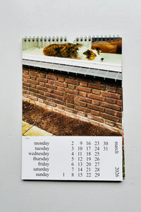 Cats and Dogs in the Window Calendar 2026 / Chantal Rens