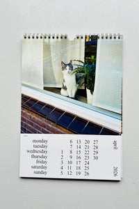 Cats and Dogs in the Window Calendar 2026 / Chantal Rens
