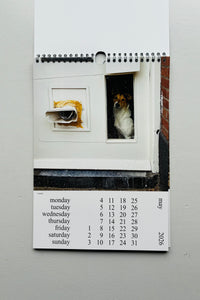 Cats and Dogs in the Window Calendar 2026 / Chantal Rens