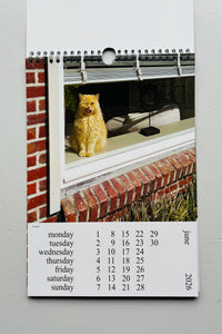 Cats and Dogs in the Window Calendar 2026 / Chantal Rens
